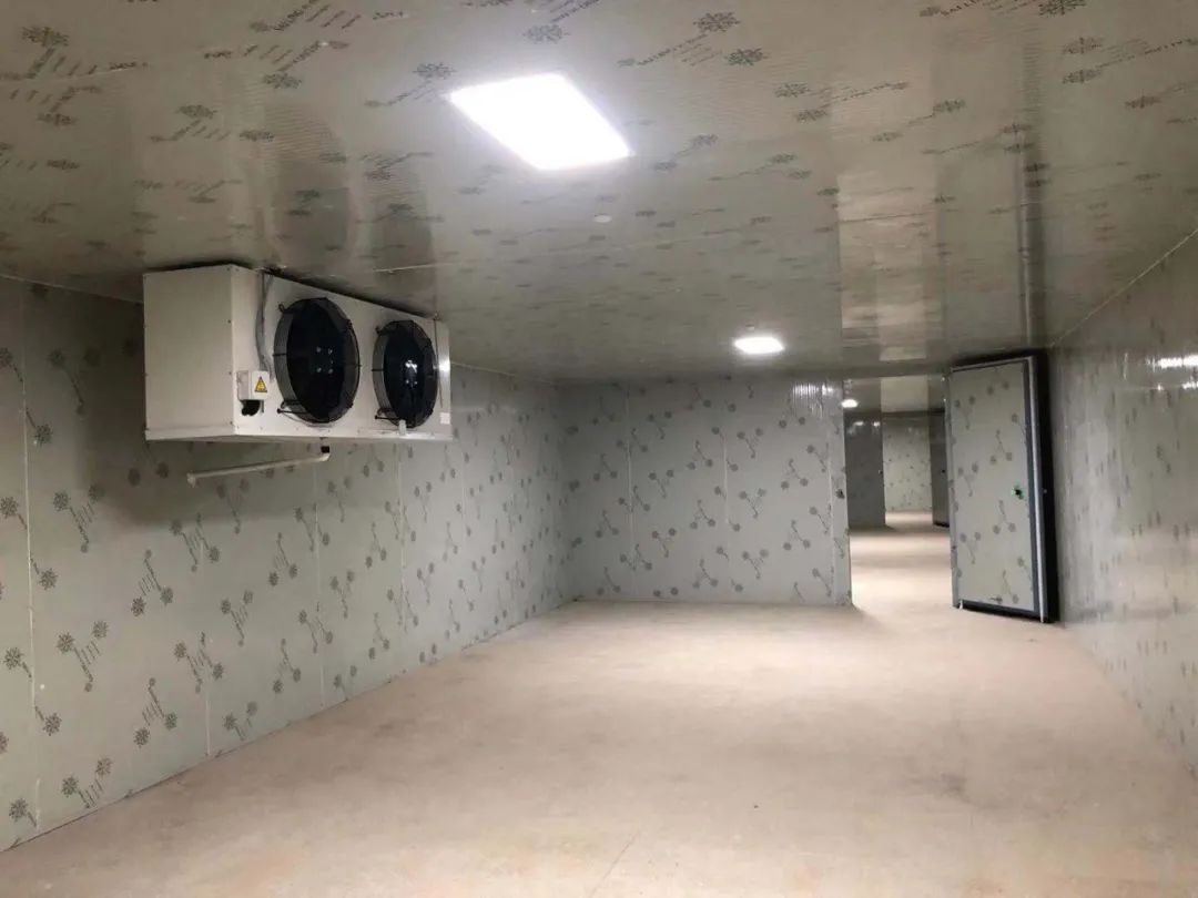 临猗气调保鲜冷库造价